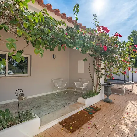 Orange Blossom Grove