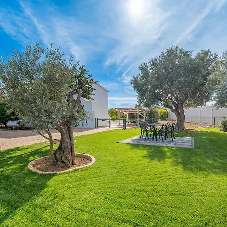 Orange Blossom Grove *