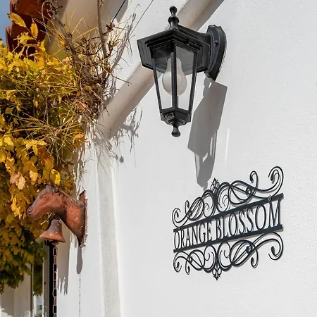 Çiftlik konaklama Orange Blossom Grove