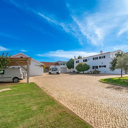 Orange Blossom Grove