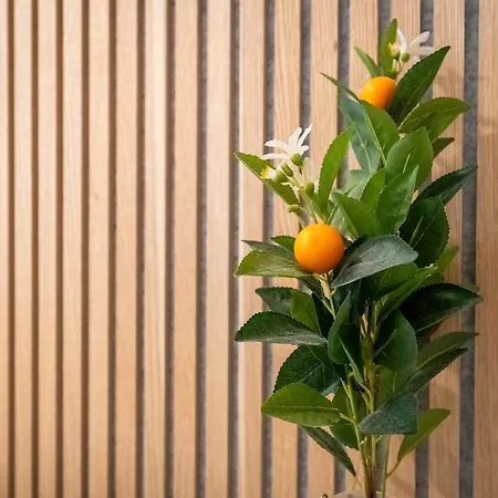 Çiftlik konaklama Orange Blossom Grove São Bartolomeu de Messines